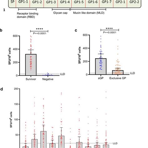 Flow Cytometry Studies To Characterise The Evd Survivor T Cell