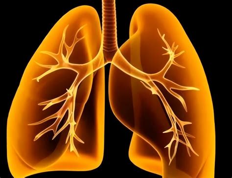 Lung Problems Throat Prophet Doctor If These 6 Signals Appear In The