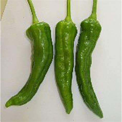 Numex Barker S Hot Peppers Seeds Etsy