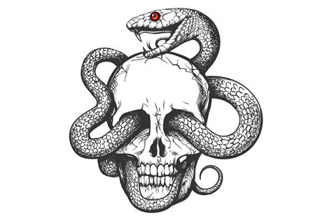 Skull with Snake Tattoo