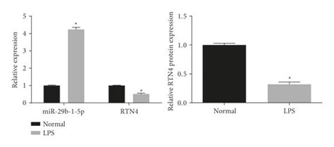 MiR 29b 1 5p Is Overexpressed In LPS Induced ALI In Vivo A The W D