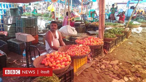 गोलभेँडाको मूल्य पोहोर भारतबाट आयात यसपालि नेपालबाट निर्यात Bbc