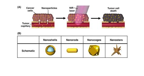 Gold Nanoparticle Mediated Photothermal Therapy Applications And Opportunities For Multimodal