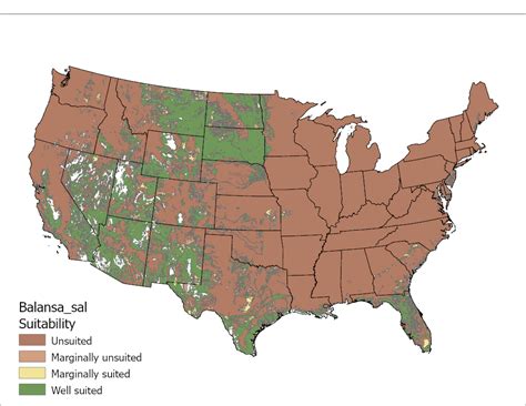 Clarkatlaspagesbalansa Sal Png Forage Information System Oregon State University