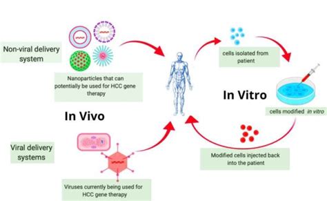 What Is Gene Therapy Definition Types And Mechanism