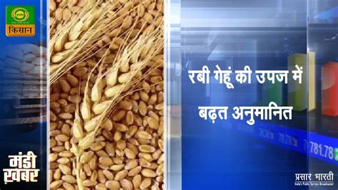 Agriculture Market News Mandi Khabar मड खबर रब गह क उपज म