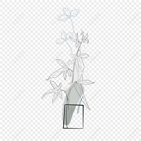 Vase Line Drawing Images Hd Pictures For Free Vectors Download