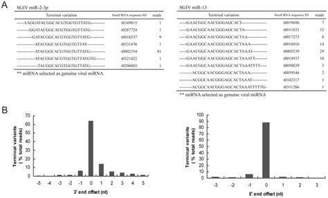 5′ And 3′ Ends Sequence Variation Of Sgiv Mirnas Recovered From Deep