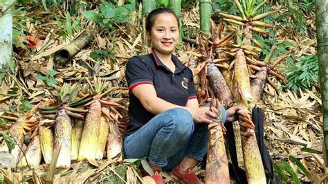 Full Video 15 Days Harvesting Bamboo Shoots Wild Tubers Vegetables To Bring To The Market To