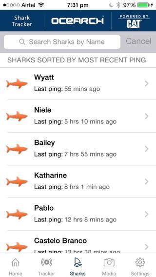 Global Shark Tracker Shark Tracker Science Apps Shark