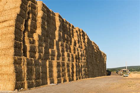 80 Bale Haystack Hay Cube Stock Photos Pictures And Royalty Free Images