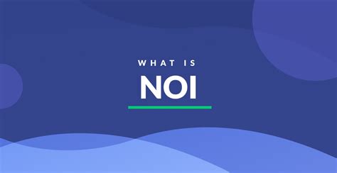 What Is Noi Definition Examples