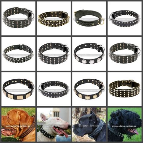 Collares Anchos Para Perros Vistosos Y Atractivos Fabricados De Cuero