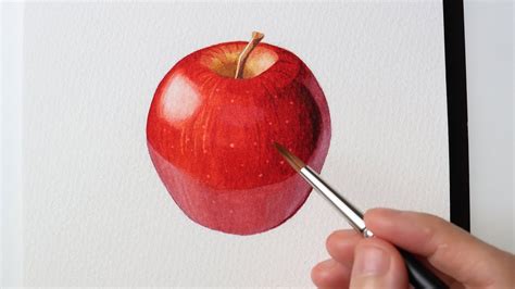 How To Paint A Realistic Apple In Watercolor Step By Step Tutorial