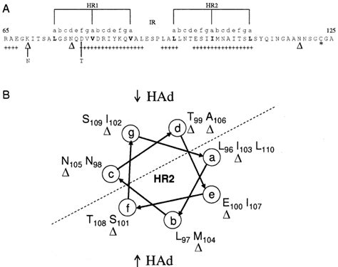 A Amino Acid Sequence For The Wt Ndv Av Hn Protein Showing Residues