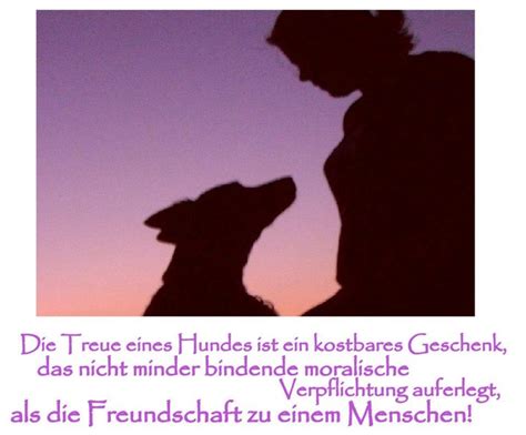 Dein Hund Ein Freund Ich Liebe Hunde Hunde Hundespr Che