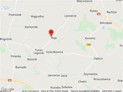 Ruja mapa samochodowa drogi informacje plany mapy dróg zdjęcia