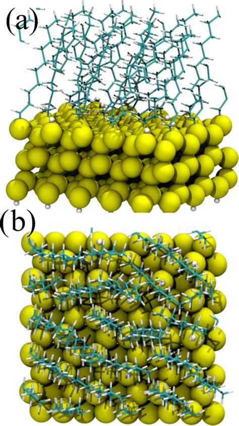 A Side And B Top Views Of Dft Equilibrium Structures Of Si 111 Download Scientific Diagram