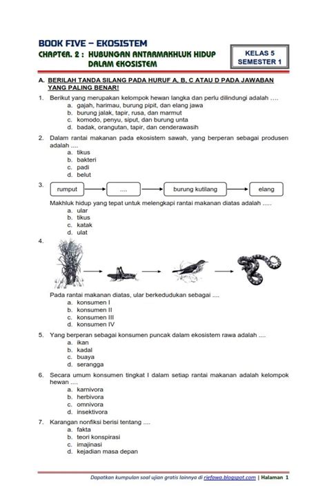 Soal Tentang Ekosistem Kelas 10 Dan Pembahasannya Rangkuman Materi