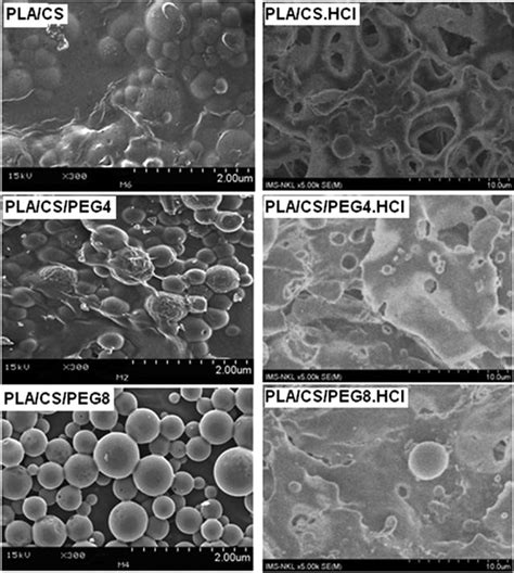 Scanning Electron Microscopy Sem Images Of Polylactic Acid