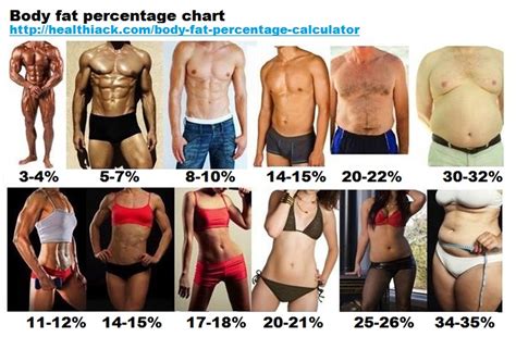 Body Fat Charts And How To Win The Battle Of The Bulge Oregon Sports News