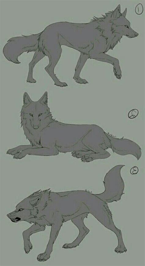 Wolf poses reference drawing – Artofit