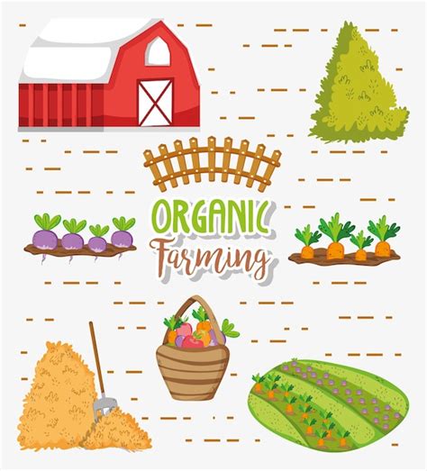 Premium Vector | Organic farming cartoons