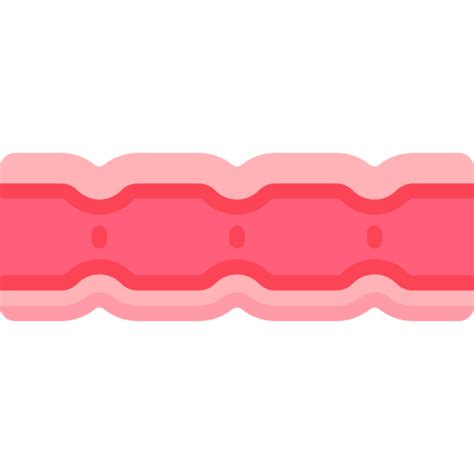 Large Intestine Special Flat Icon