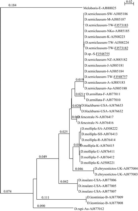 Nj Tree Based On Evolutionary Distances Saitou And Nei 1987 Using