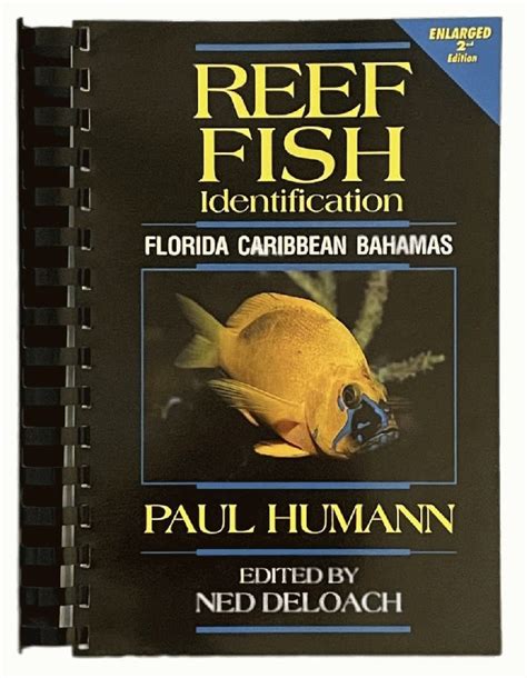 Reef Fish Identification Florida Caribbean Bahamas Paul Humann Ned