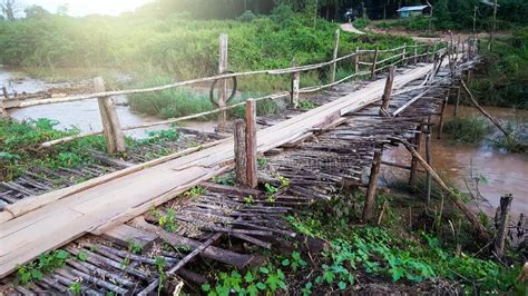 Temporary Bamboo Bridge On River In Golaghat Assam A Temporary Walkway