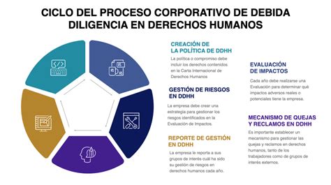 Proceso Debida Diligencia Humane Biz