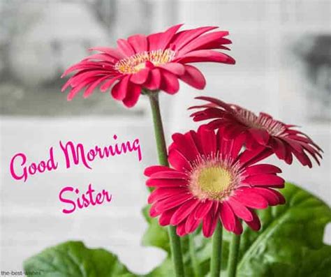 Good Morning Sister Greetings