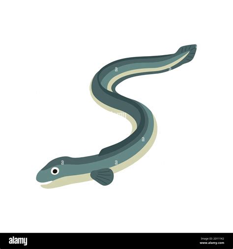 Eel Vector Cartoon Hi Res Stock Photography And Images Alamy