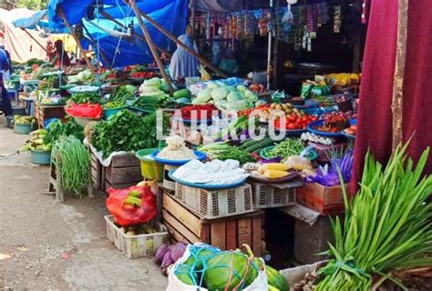 Harga Sembako Ikan Hingga Sayur Mayur Di Kendari Mulai Melambung