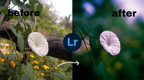 Moody Flower Editing Tutorial Lightroom Color Grading Tutorial Youtube