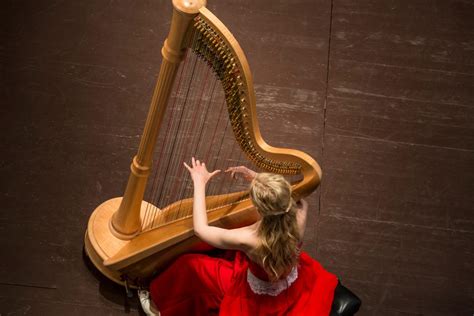 harp facts exploring  enchanting world  harps factsnet