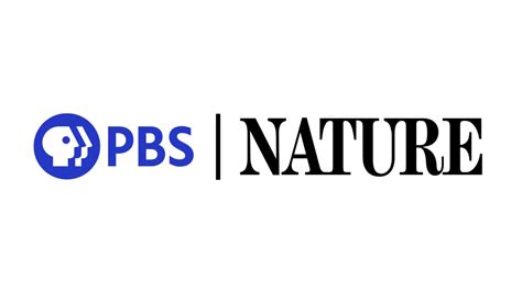 The WNET Group Celebrates Earth Month with Launch of PBS Nature FAST Channel on Pluto TV | The ...