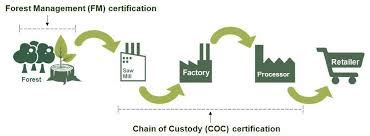 Forest Certification