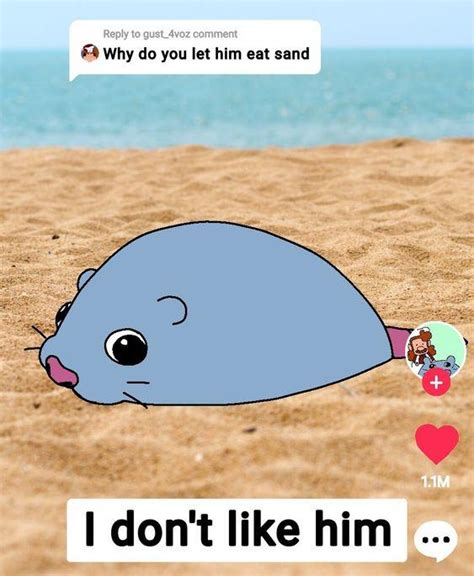 Don T Let Him Eat The Sand It Ll Hurt His Tummy Why Do You Let Him