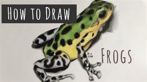 How To Draw A Poison Dart Frog YouTube