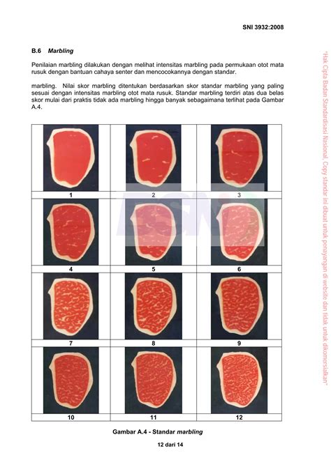 Sni Karkas Dan Daging Sapi Pdf Free Download