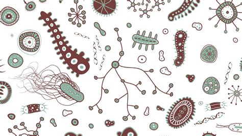 Microbes Wallpapers Top Free Microbes Backgrounds Wallpaperaccess