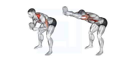 Kettlebell Bent Over Row Guide Benefits And Form