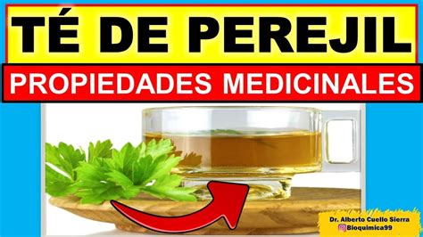 Beneficios Y Propiedades Del Perejil Tomar Perejil ¿es Bueno Youtube