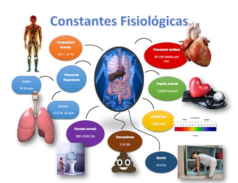 Fisiología Básica Constantes Fisiológicas