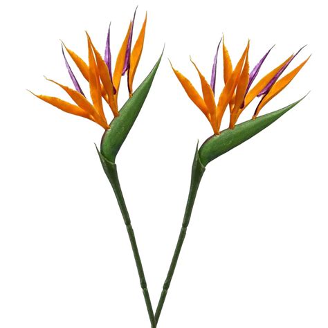 Emerald Kunstbloem Strelitzia 65 Cm Tak Paradijsvogelplant Leen