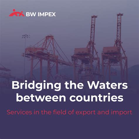 BW IMPEX | International Business | Export & Import on LinkedIn ...