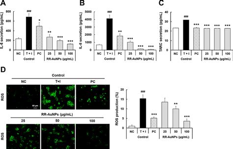 Biologically Synthesized Rosa Rugosa Based Gold Nanoparticles Suppress