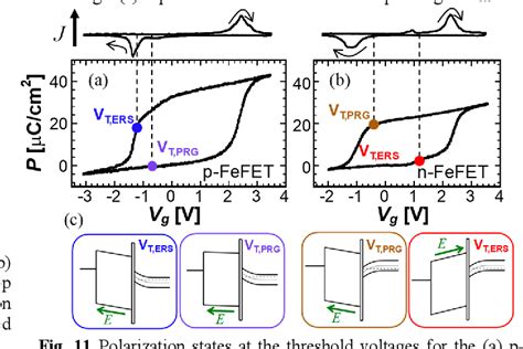 Figure From Asymmetric Polarization Response Of Electrons And Holes